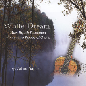 ดาวน์โหลดและฟังเพลง Dance In The Moon Light พร้อมเนื้อเพลงจาก Vahid Sattari