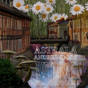 ดาวน์โหลดและฟังเพลง BIBIMBAP (Explicit) พร้อมเนื้อเพลงจาก andrewoods