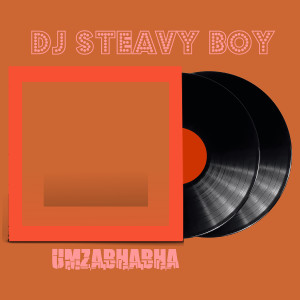 DJ Steavy Boy的專輯Umzabhabha
