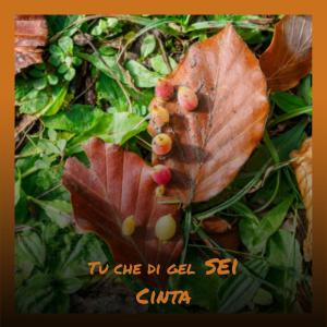 Album Tu che di gel sei cinta oleh Various Artist