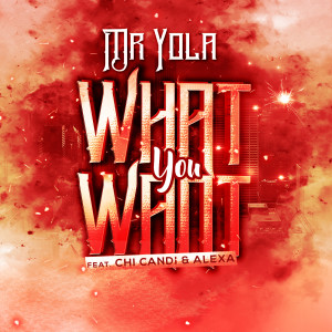 What You Want  dari Mr Yola