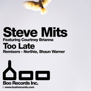 收聽Steve Mits的Too Late (Northie Remix)歌詞歌曲