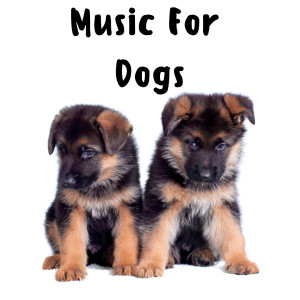 Relaxing Puppy Music的專輯Music For Dogs