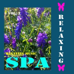 收聽Billy & The Blue Lights的Deep Sleep歌詞歌曲