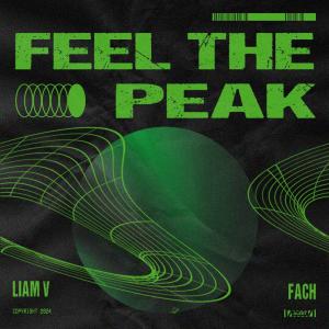 收聽Liam V的Feel The Peak歌詞歌曲