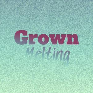 อัลบัม Grown Melting ศิลปิน Various