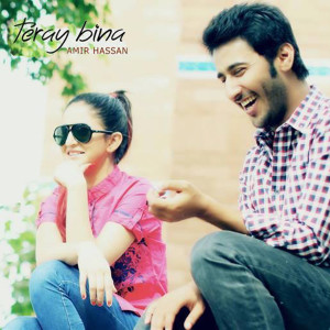 ดาวน์โหลดและฟังเพลง Teray Bina พร้อมเนื้อเพลงจาก Amir Hassan