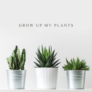 Grow up My Plants (Plant Care Routine, Soothing and Relaxing Sounds for Flowers, Jazz in the Background)