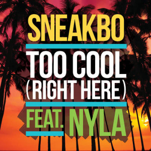 ดาวน์โหลดและฟังเพลง Too Cool (Right Here) พร้อมเนื้อเพลงจาก Sneakbo