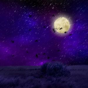 ดาวน์โหลดและฟังเพลง A Dream Of Reality พร้อมเนื้อเพลงจาก SNØWEE