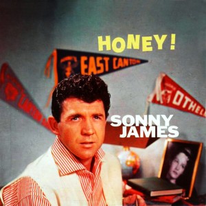 ดาวน์โหลดและฟังเพลง I Love You So Much It Hurts พร้อมเนื้อเพลงจาก Sonny James