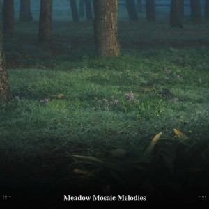 Album !!!!" Meadow Mosaic Melodies "!!!! from ohm waves
