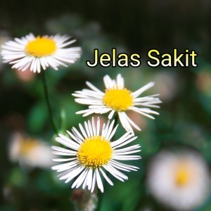 ดาวน์โหลดและฟังเพลง Jelas Sakit พร้อมเนื้อเพลงจาก Asmara