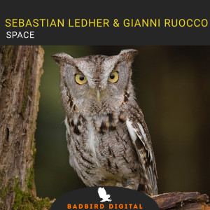 Album Space from Sebastian Ledher