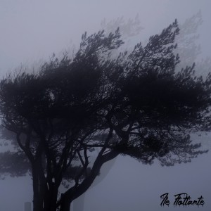 Listen to demi song with lyrics from Ile Flottante