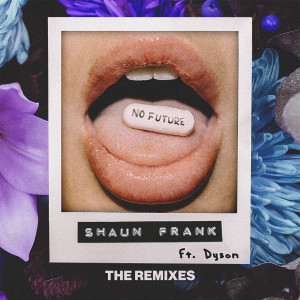 ดาวน์โหลดและฟังเพลง No Future (Boxinlion Remix) พร้อมเนื้อเพลงจาก Shaun Frank