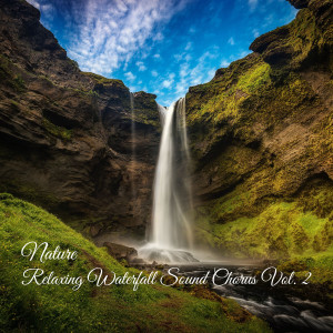 Nature: Relaxing Waterfall Sound Chorus Vol. 2