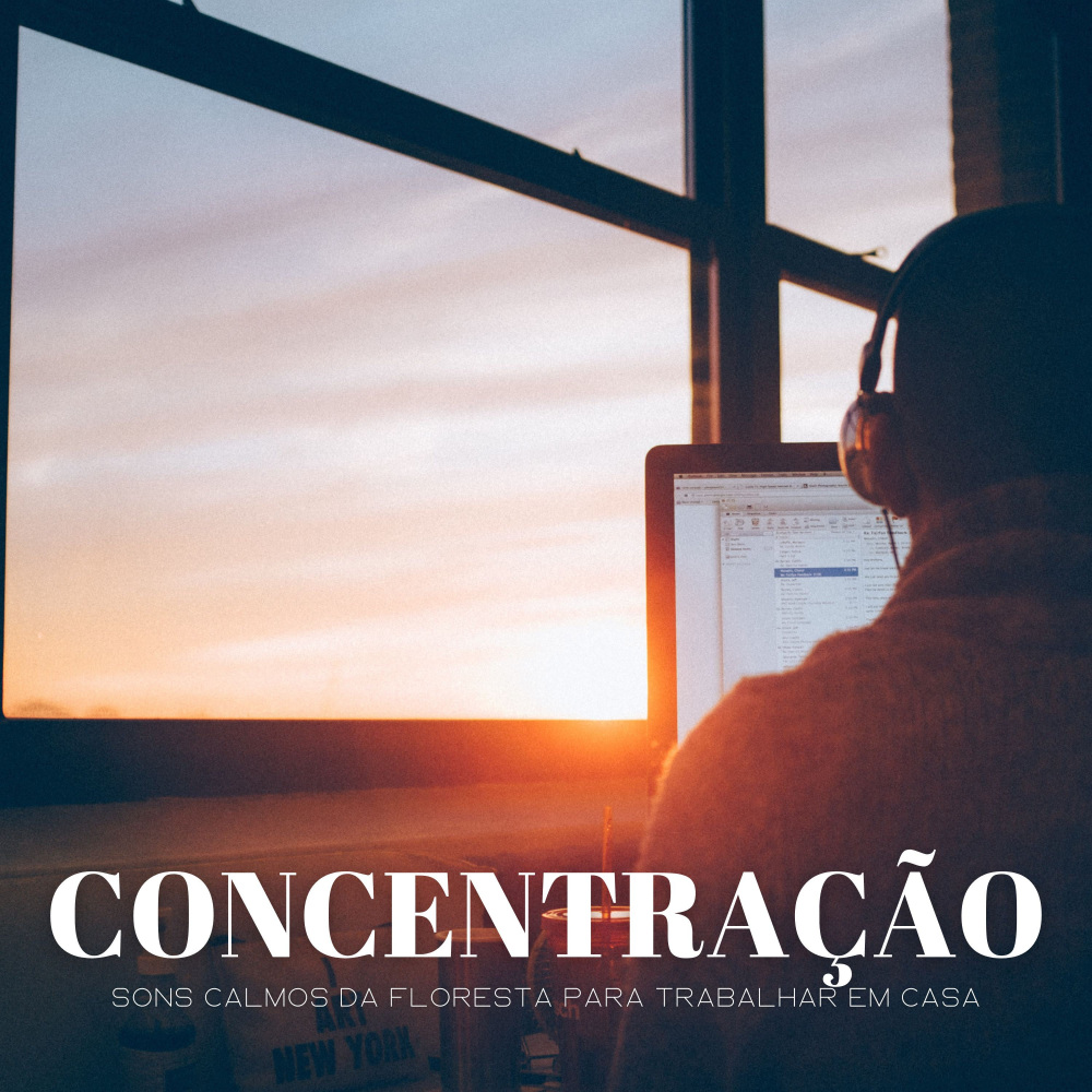 Um Dia Interessante