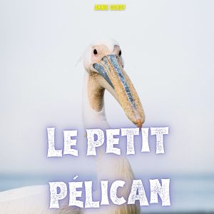 อัลบัม Le petit pélican ศิลปิน Annie Cordy