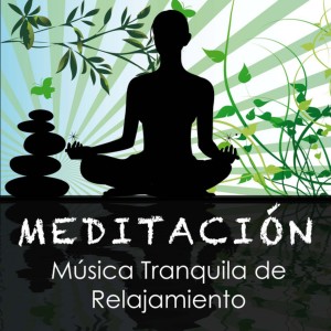 Album Meditacion Musica Tranquila de Relajamiento oleh Música De Relajación Para Dormir Profundamente