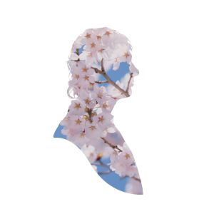 收聽Pet Shop Boys的We're the Pet Shop Boys歌詞歌曲