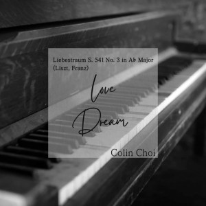 Listen to No. 3, Oh Lieb, so lang du lieben kannst) song with lyrics from Colin (콜린)