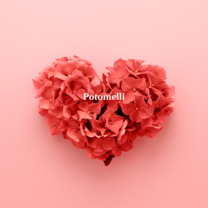 ดาวน์โหลดและฟังเพลง どうしようもないくらいのI love youをたまにはくれてもいいんじゃない พร้อมเนื้อเพลงจาก Potomelli