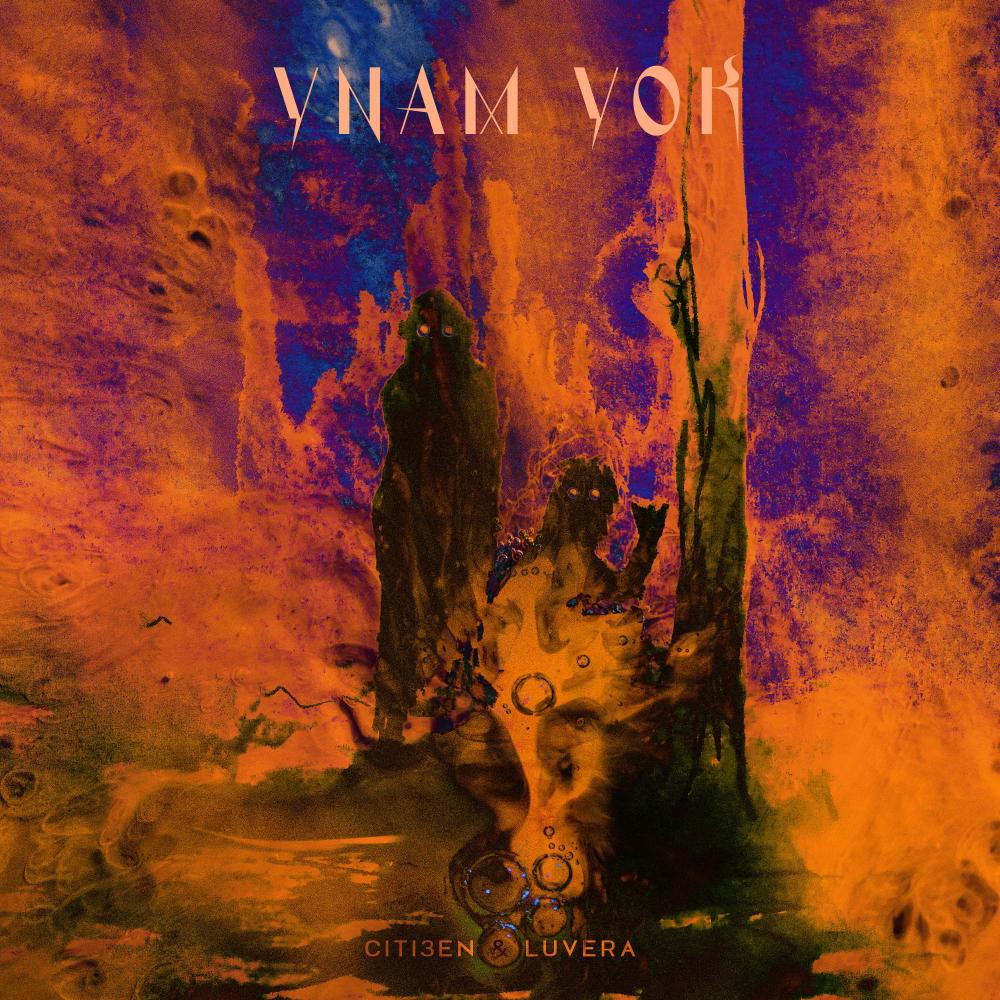 Ynam Yok (feat. LUVERA)