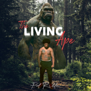 Listen to Get It off My Chest (Explicit) song with lyrics from Pd Rilla