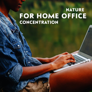 Listen to Focus Music Work song with lyrics from Relaxing Office Music Collection