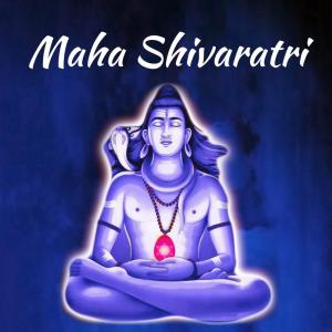 ดาวน์โหลดและฟังเพลง Shiva Shivaya พร้อมเนื้อเพลงจาก Unnimenon