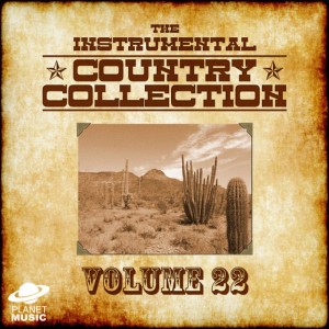 อัลบัม The Instrumental Country Collection, Vol. 22 ศิลปิน The Hit Co.