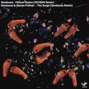 收聽Sandunes的Pelican Dance (OX7GEN Remix)歌詞歌曲