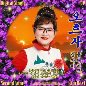 ดาวน์โหลดและฟังเพลง 오르자 (Prod. 알고보니혼수상태) พร้อมเนื้อเพลงจาก 둘째이모 김다비