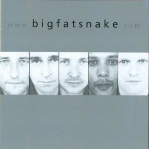 收聽Big Fat Snake的Female Voice歌詞歌曲
