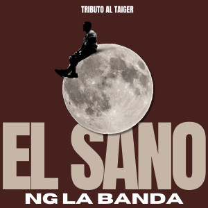 收聽NG La Banda的El Sano Tributo al Taiger (Explicit)歌詞歌曲