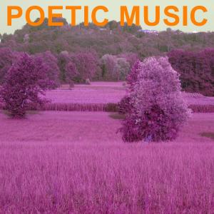 Listen to Poetic Music song with lyrics from Robert Williams