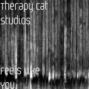 Listen to Feels Like You song with lyrics from Therapy Cat Studios