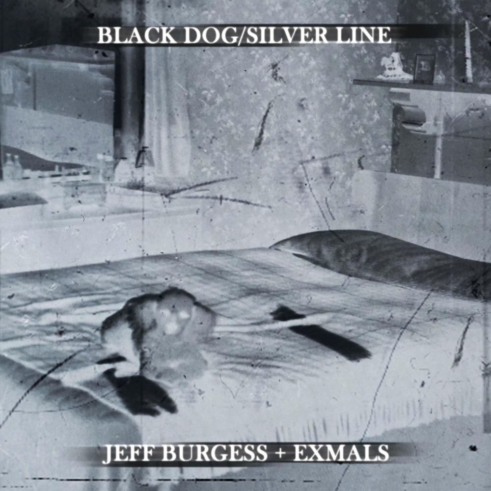 Black Dog/Silver Line (feat. ΣXMALS)