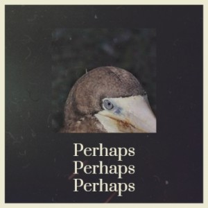 收聽Edmundo Ros的Perhaps Perhaps Perhaps歌詞歌曲