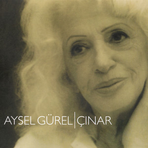 收聽Müjdat Gezen的Çınar歌詞歌曲