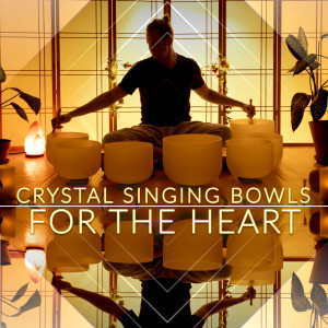 ดาวน์โหลดและฟังเพลง Underwater Sound Bath for Deep Meditation พร้อมเนื้อเพลงจาก Healing Vibrations