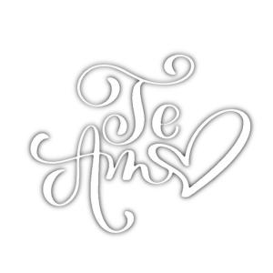 收聽FreeFormLando的Te Amo歌詞歌曲