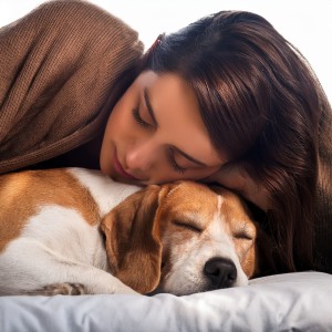 ดาวน์โหลดและฟังเพลง Ritmos Pacíficos De Mascotas พร้อมเนื้อเพลงจาก Melodías de paz para seres