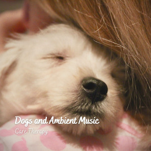 Album Dogs and Ambient Music: Care Therapy from Dog Music Zone