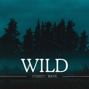 Album Wild from Cosmic Wave