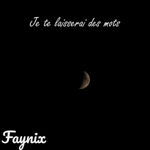 Faynix的专辑Je te laisserai des mots slowed and reverbe