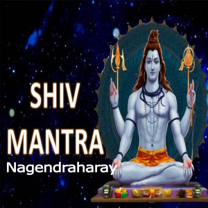 Album Shiv Mantra Nagendraharay from Gagandeep Kaur