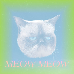 Listen to Meow Meow song with lyrics from Aarya Says
