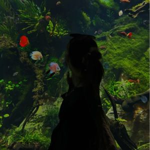 收聽鍾靈兒的不說再見歌詞歌曲